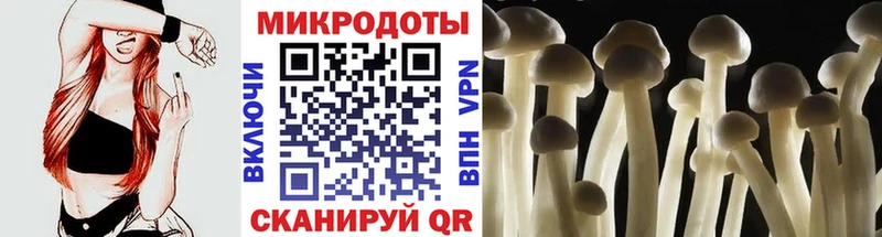 Галлюциногенные грибы ЛСД  наркотики  Рошаль 